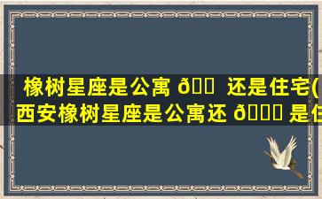 橡树星座是公寓 🐠 还是住宅(西安橡树星座是公寓还 🐕 是住宅)